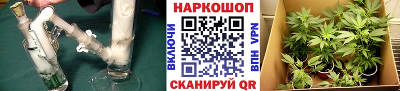 Сколько стоит Зея COCAIN Марихуана A PVP ГАШИШ МЕФ