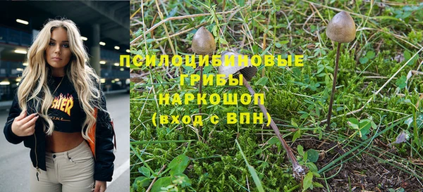 прущая мука Абинск