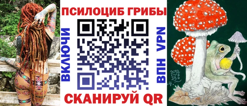 магазин  наркотиков  Зея  Псилоцибиновые грибы GOLDEN TEACHER 